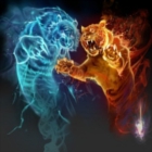 Shaman